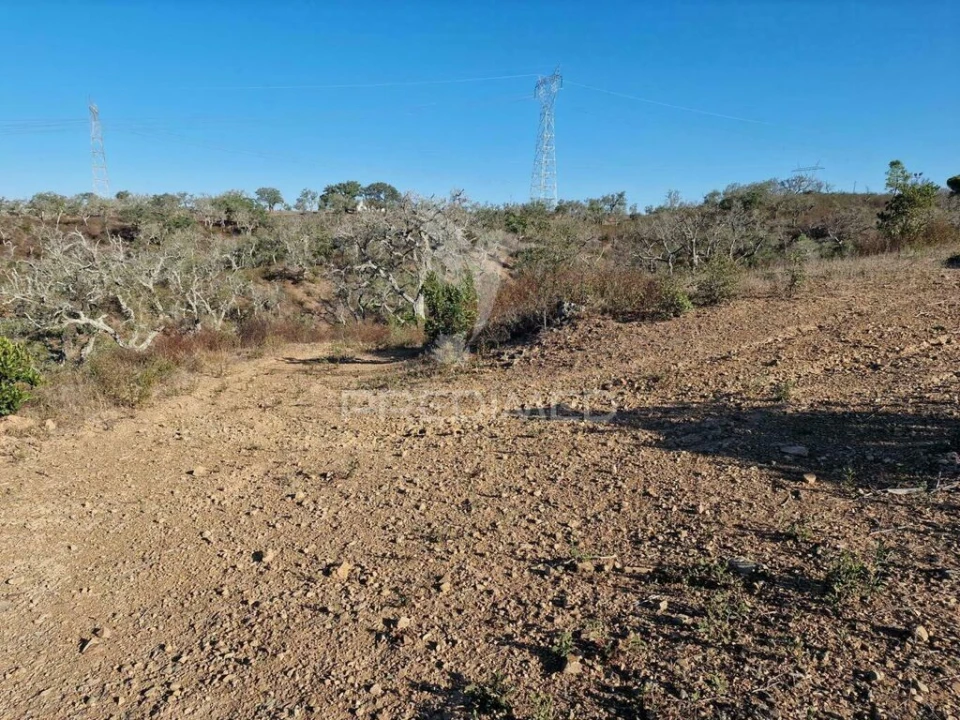 Terreno para Venda em São Francisco da Serra Foto 13