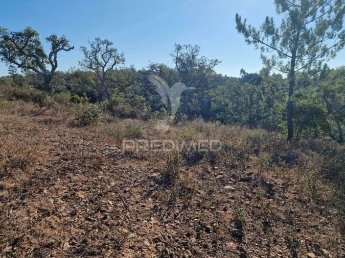 Terreno para Venda em São Francisco da Serra Foto 14