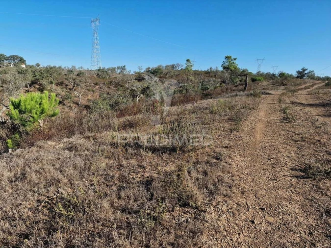 Terreno para Venda em São Francisco da Serra Foto 19