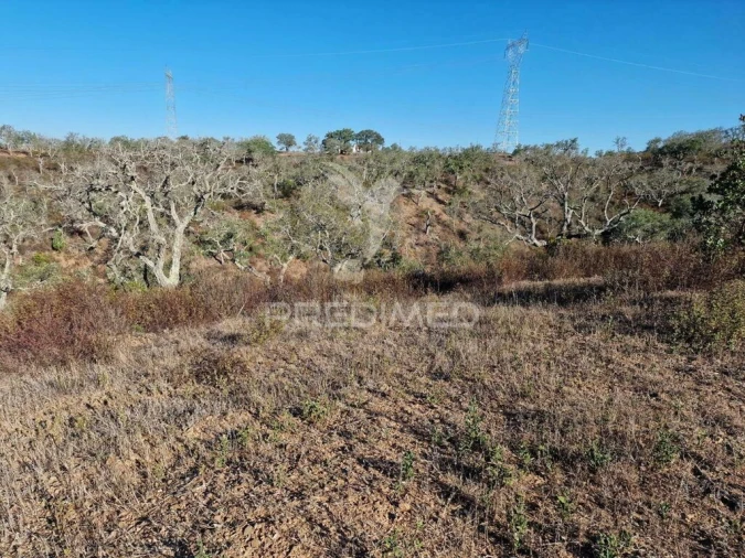 Terreno para Venda em São Francisco da Serra Foto 2