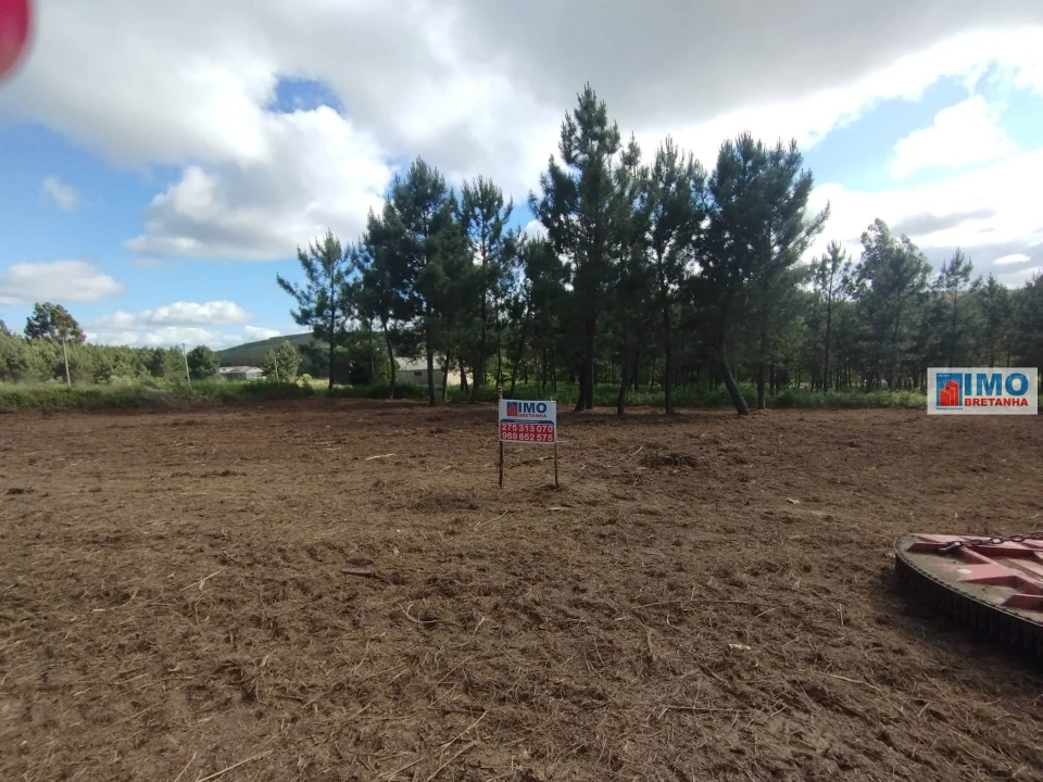 Terreno Agricola ou Rústico para Venda em Estreito-Vilar Barroco Foto 2