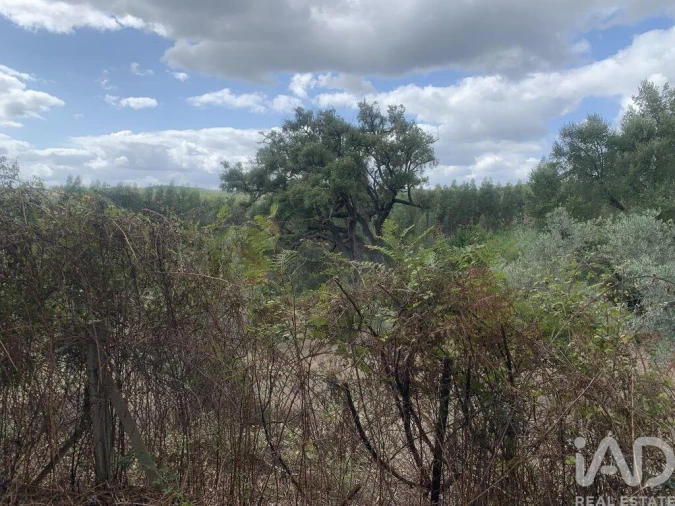 Moradia T2 para Venda em Graça Foto 16