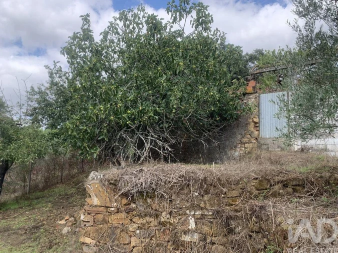 Moradia T2 para Venda em Graça Foto 25