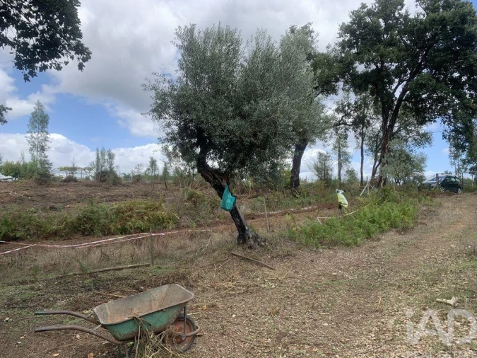 Moradia T2 para Venda em Graça Foto 21