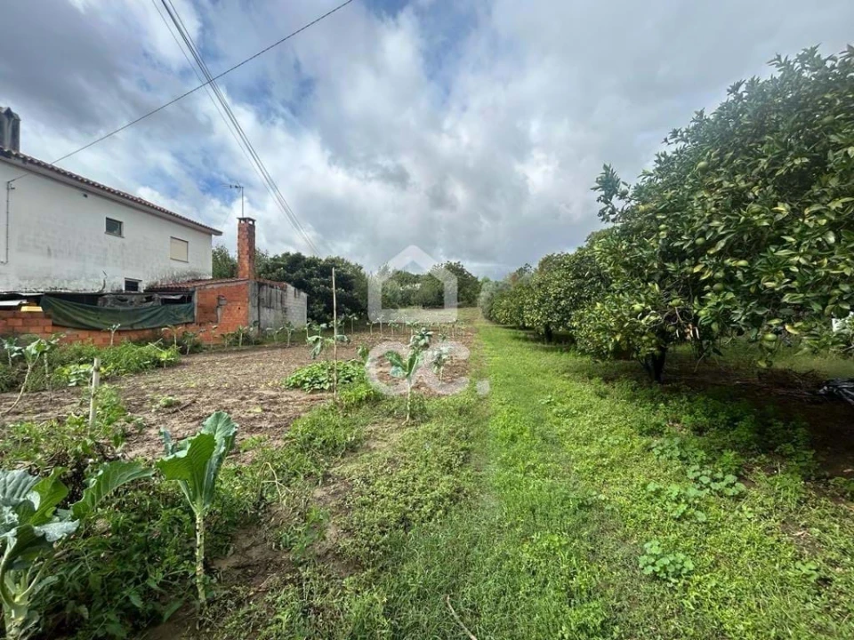 Terreno para Venda em Antuzede e Vil de Matos Foto 1