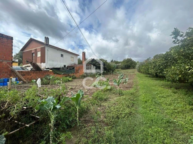 Terreno para Venda em Antuzede e Vil de Matos Foto 2