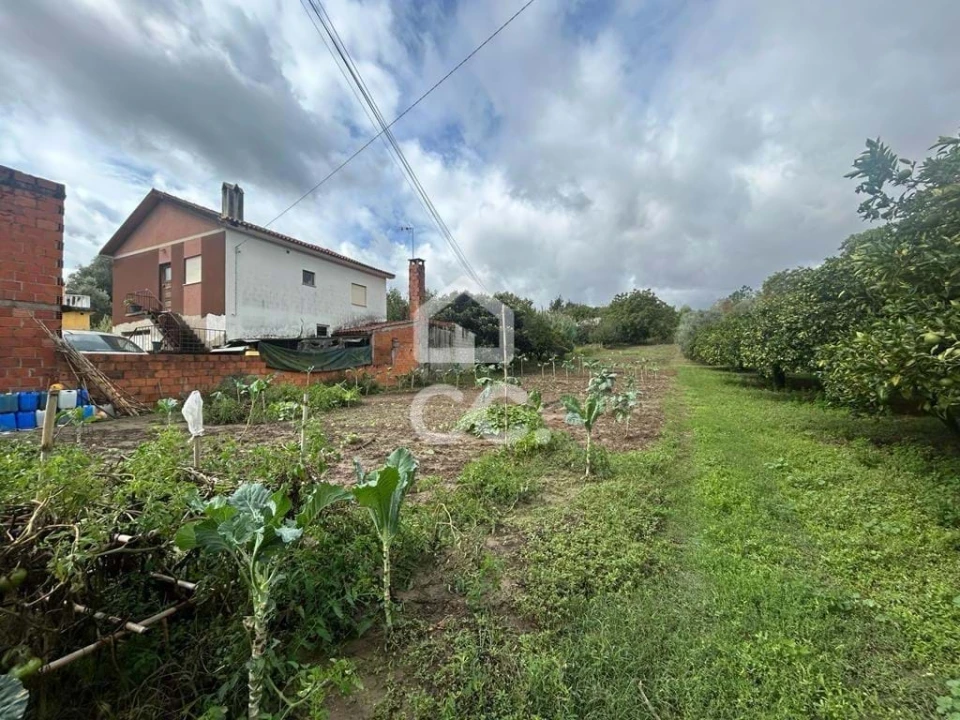 Terreno para Venda em Antuzede e Vil de Matos Foto 2