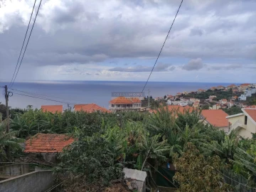 Moradia T2 para Venda em Ponta do Sol