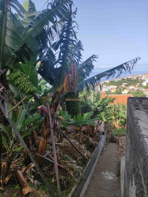 Moradia T2 para Venda em Ponta do Sol