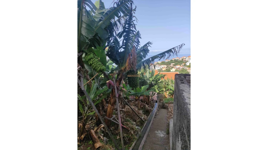 Moradia T2 para Venda em Ponta do Sol Foto 10