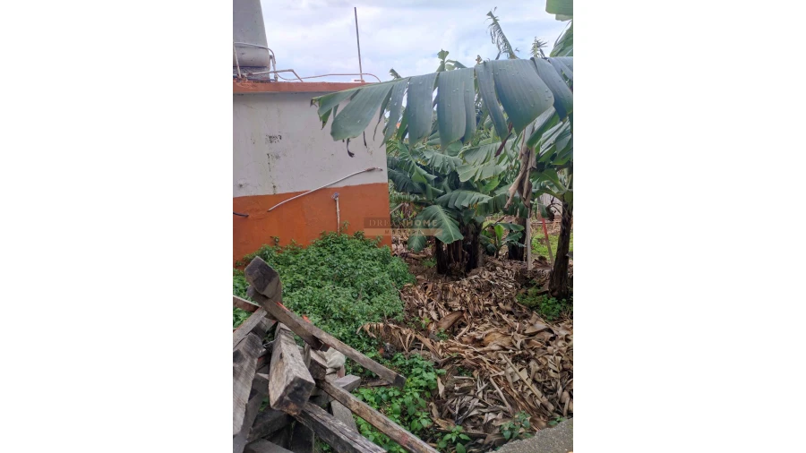 Moradia T2 para Venda em Ponta do Sol Foto 11