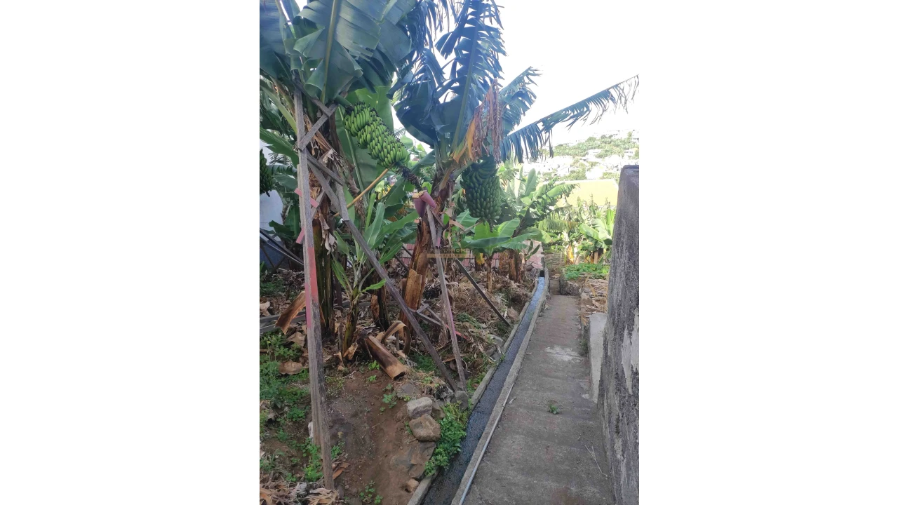 Moradia T2 para Venda em Ponta do Sol Foto 17