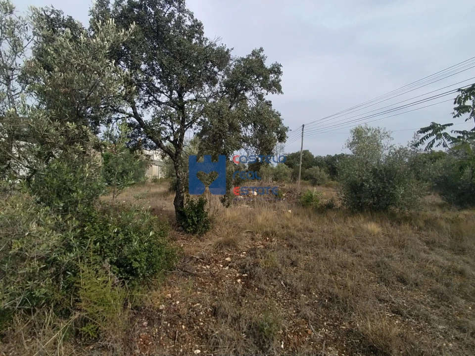 Terreno para Venda em Fatima Foto 4