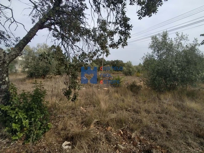 Terreno para Venda em Fatima Foto 7