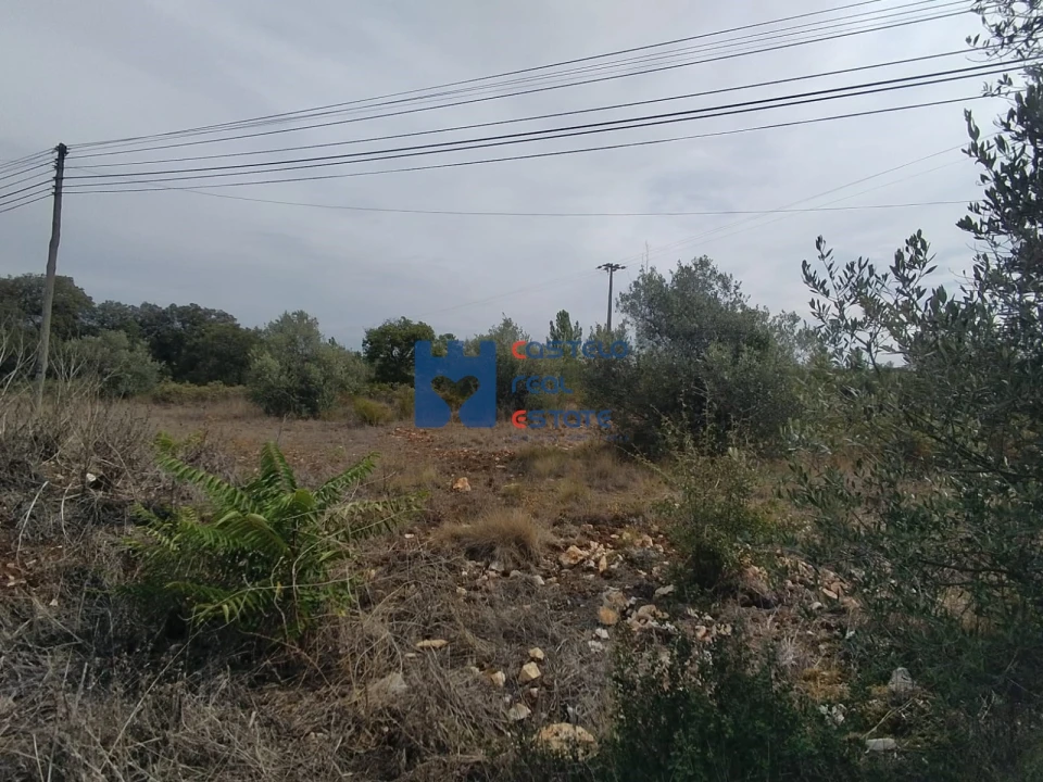 Terreno para Venda em Fatima Foto 9