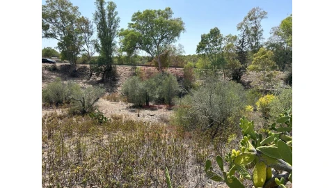 Terreno Agricola ou Rústico para Venda em Alcoutim e Pereiro