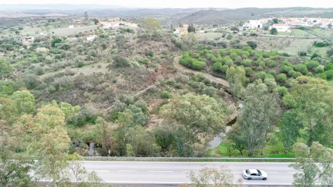 Terreno Agricola ou Rústico para Venda em Alcoutim e Pereiro
