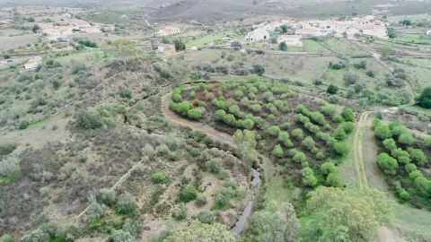 Terreno Agricola ou Rústico para Venda em Alcoutim e Pereiro