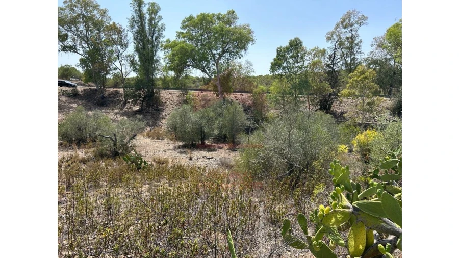 Terreno Agricola ou Rústico para Venda em Alcoutim e Pereiro Foto 7