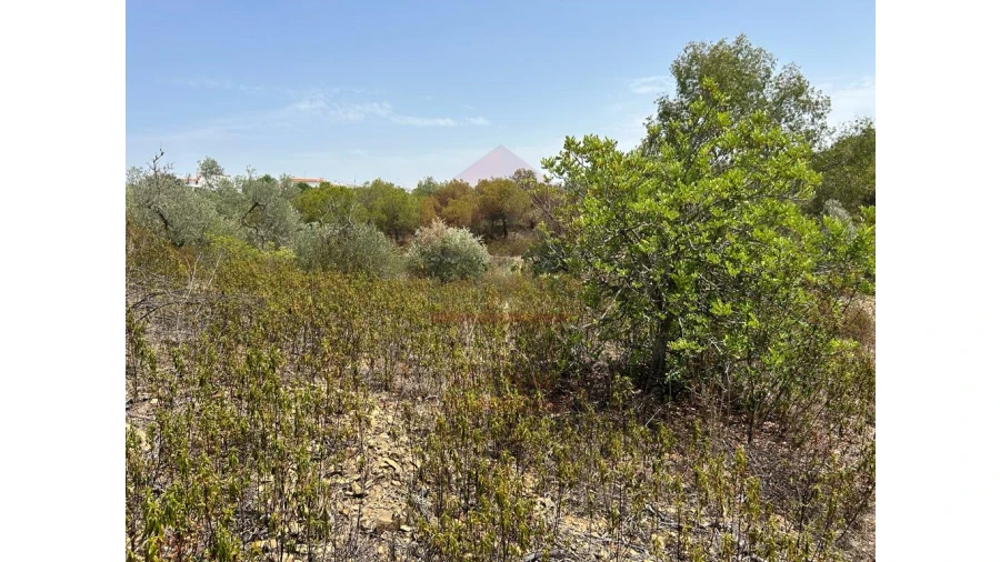 Terreno Agricola ou Rústico para Venda em Alcoutim e Pereiro Foto 8