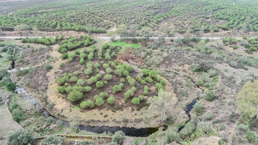 Terreno Agricola ou Rústico para Venda em Alcoutim e Pereiro Foto 3