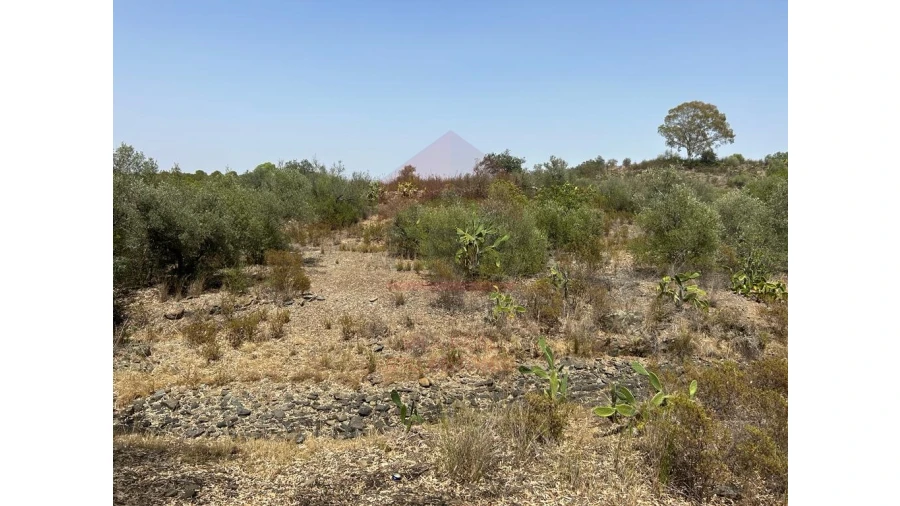 Terreno Agricola ou Rústico para Venda em Alcoutim e Pereiro Foto 5