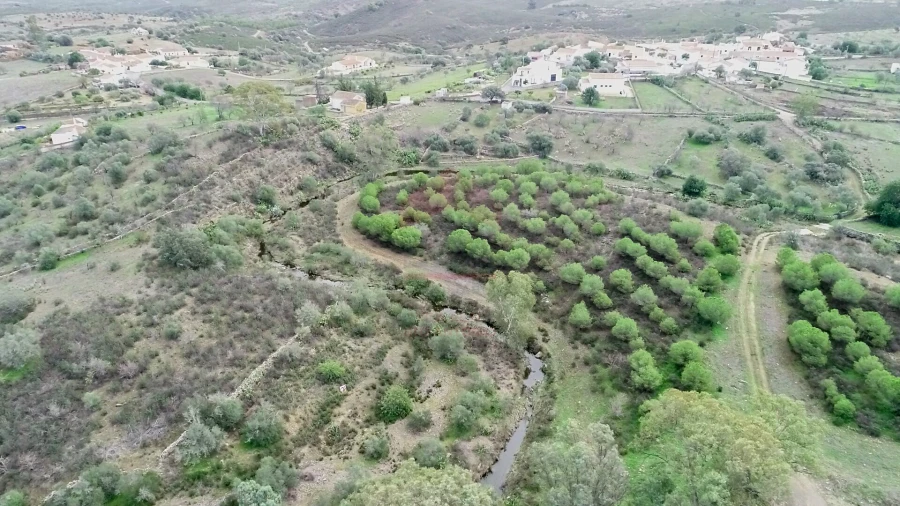 Terreno Agricola ou Rústico para Venda em Alcoutim e Pereiro Foto 2