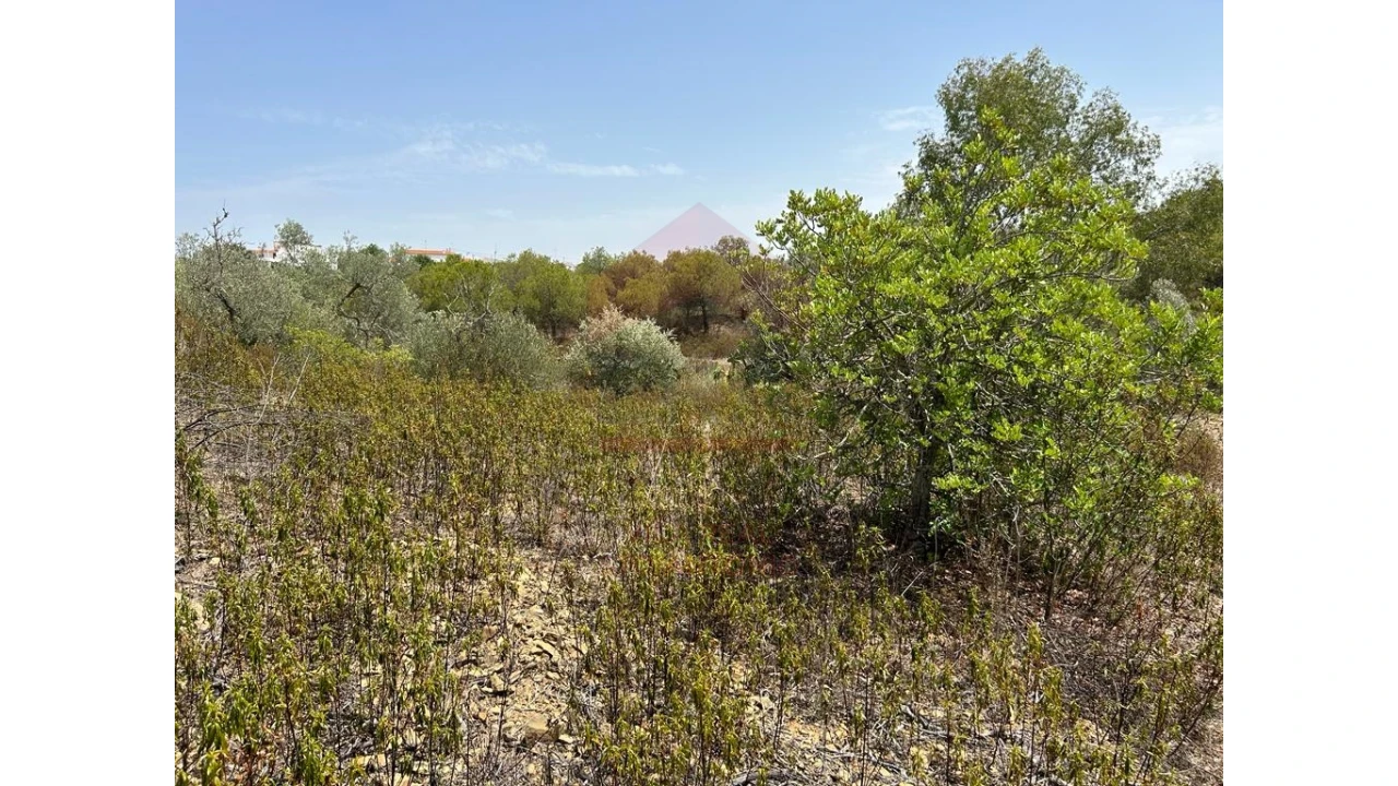 Terreno Agricola ou Rústico para Venda em Alcoutim e Pereiro Foto 8