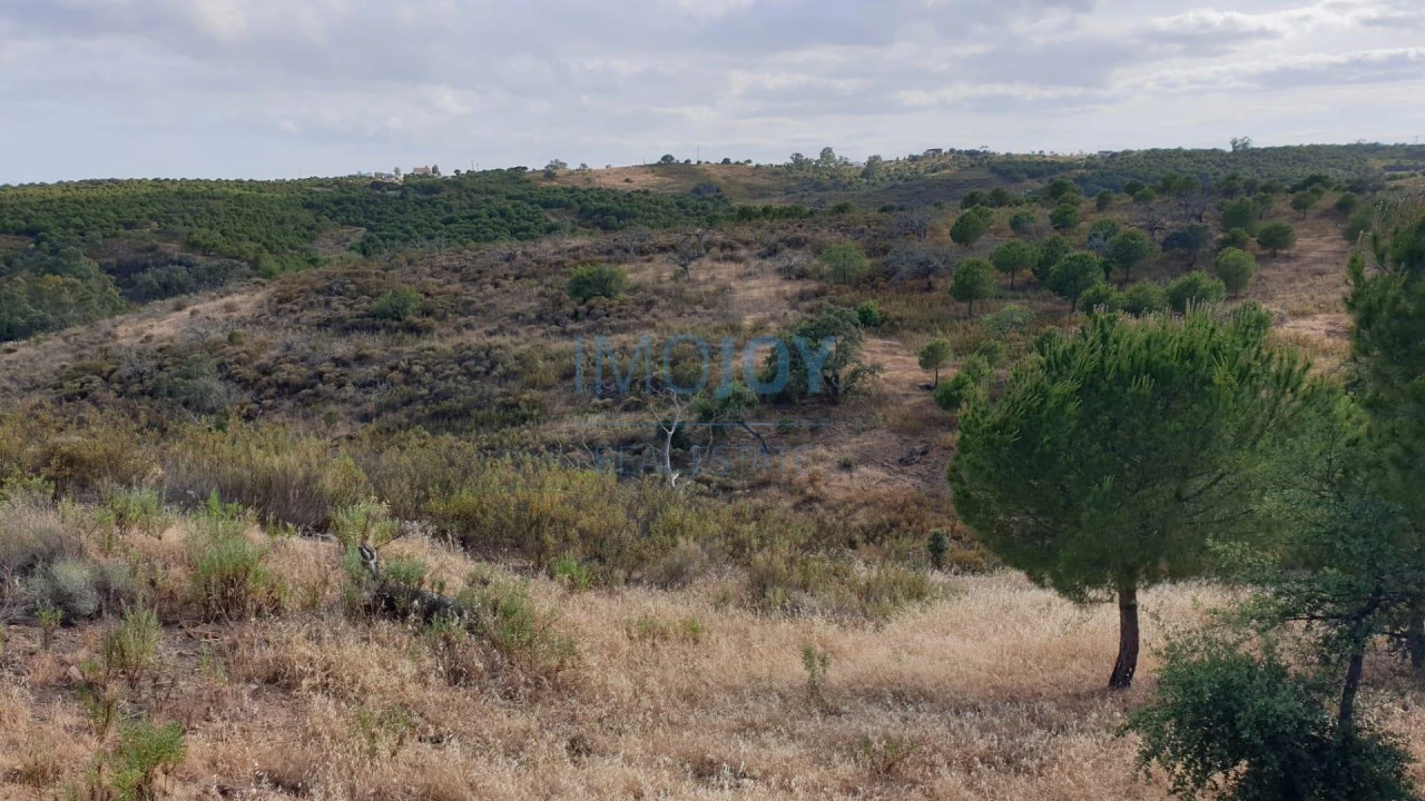 Terreno Agricola ou Rústico para Venda em Azinhal Foto 9