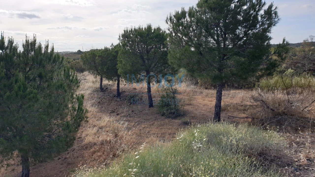 Terreno Agricola ou Rústico para Venda em Azinhal Foto 5
