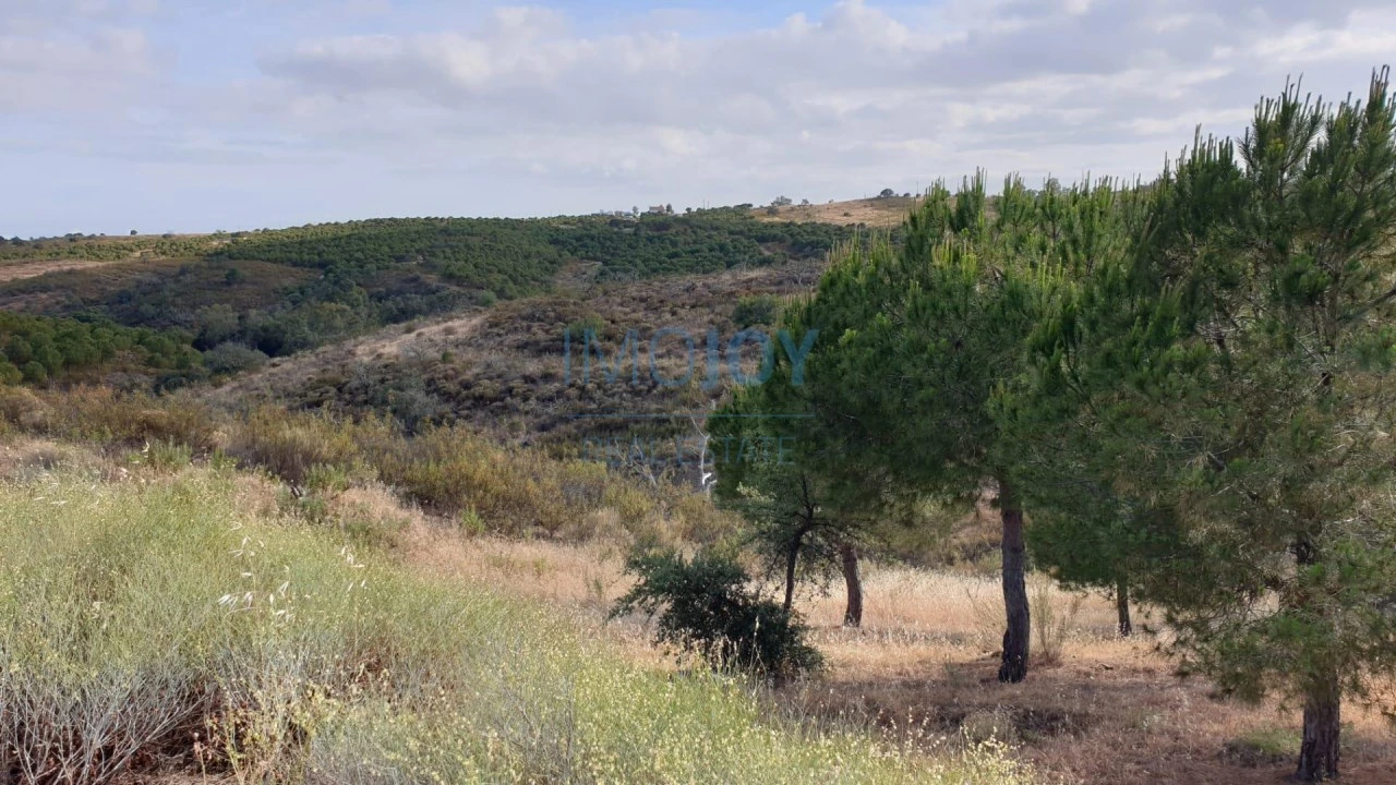 Terreno Agricola ou Rústico para Venda em Azinhal Foto 2