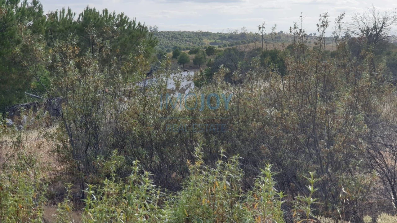 Terreno Agricola ou Rústico para Venda em Azinhal Foto 6