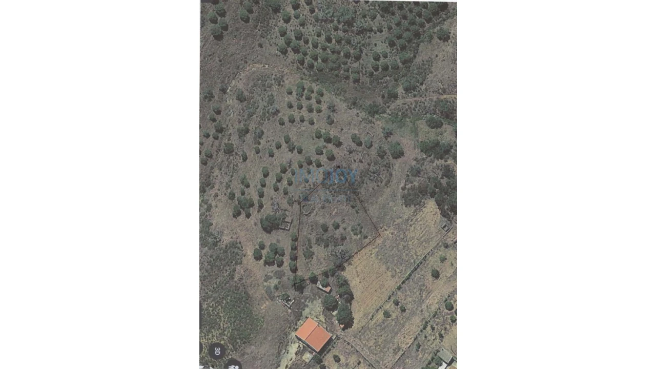 Terreno Agricola ou Rústico para Venda em Azinhal Foto 11