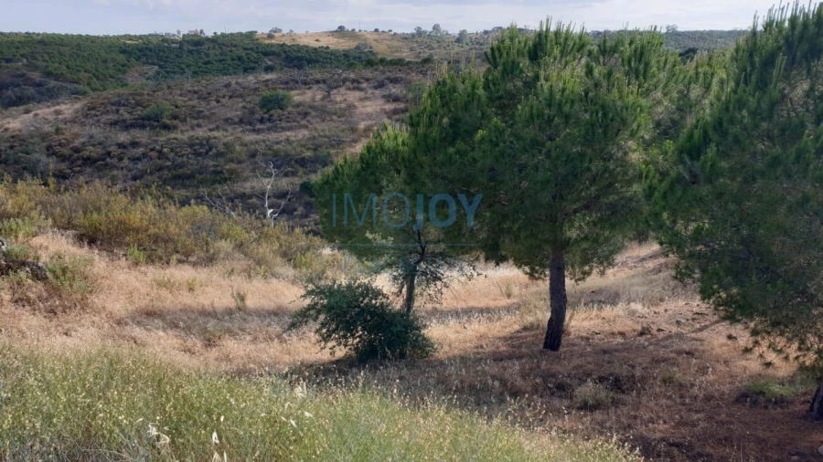 Terreno Agricola ou Rústico para Venda em Azinhal Foto 4