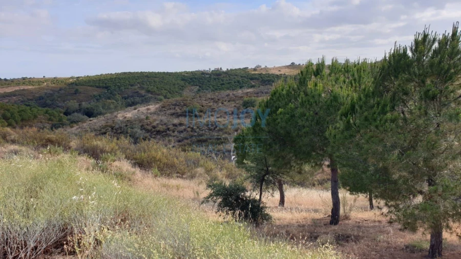Terreno Agricola ou Rústico para Venda em Azinhal Foto 2