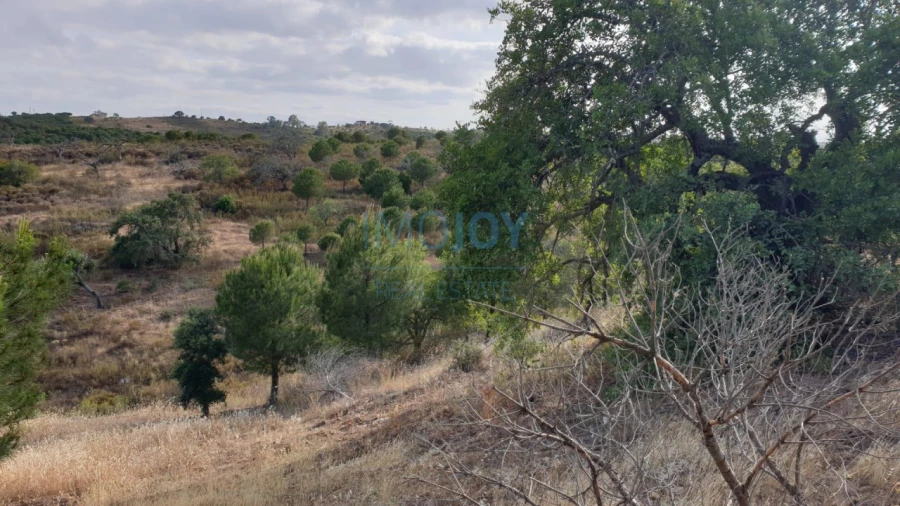 Terreno Agricola ou Rústico para Venda em Azinhal Foto 7
