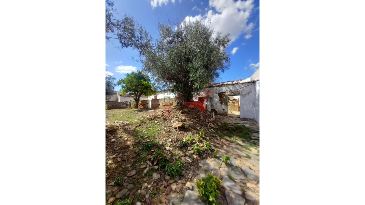 Quinta T8 para Venda em Redondo Foto 15