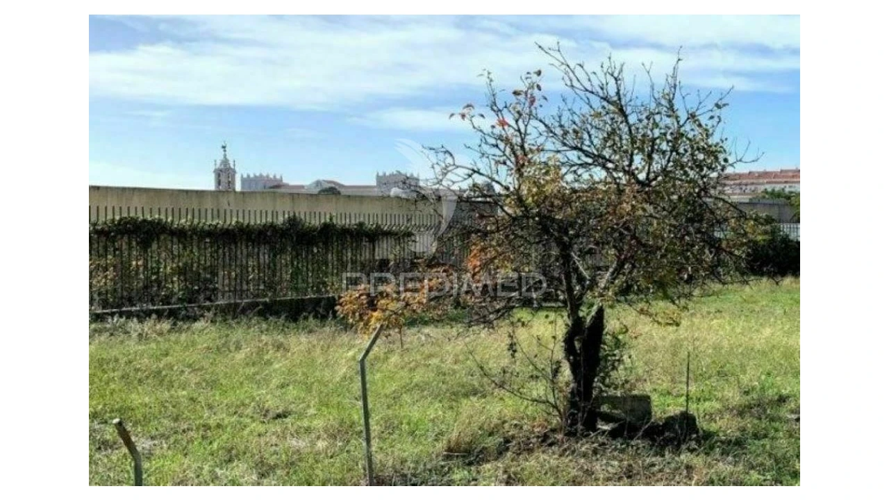 Terreno para Venda em Ajuda Foto 6