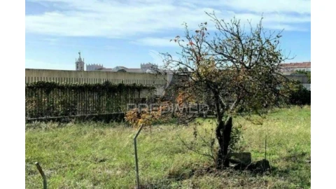 Terreno para Venda em Ajuda