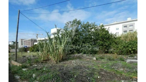 Terreno para Venda em Ajuda