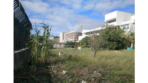 Terreno para Venda em Ajuda