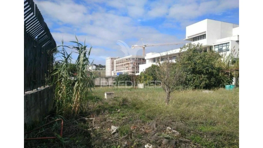 Terreno para Venda em Ajuda Foto 5