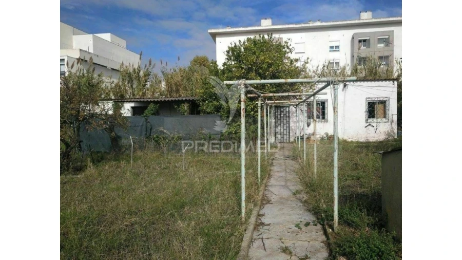 Terreno para Venda em Ajuda Foto 7