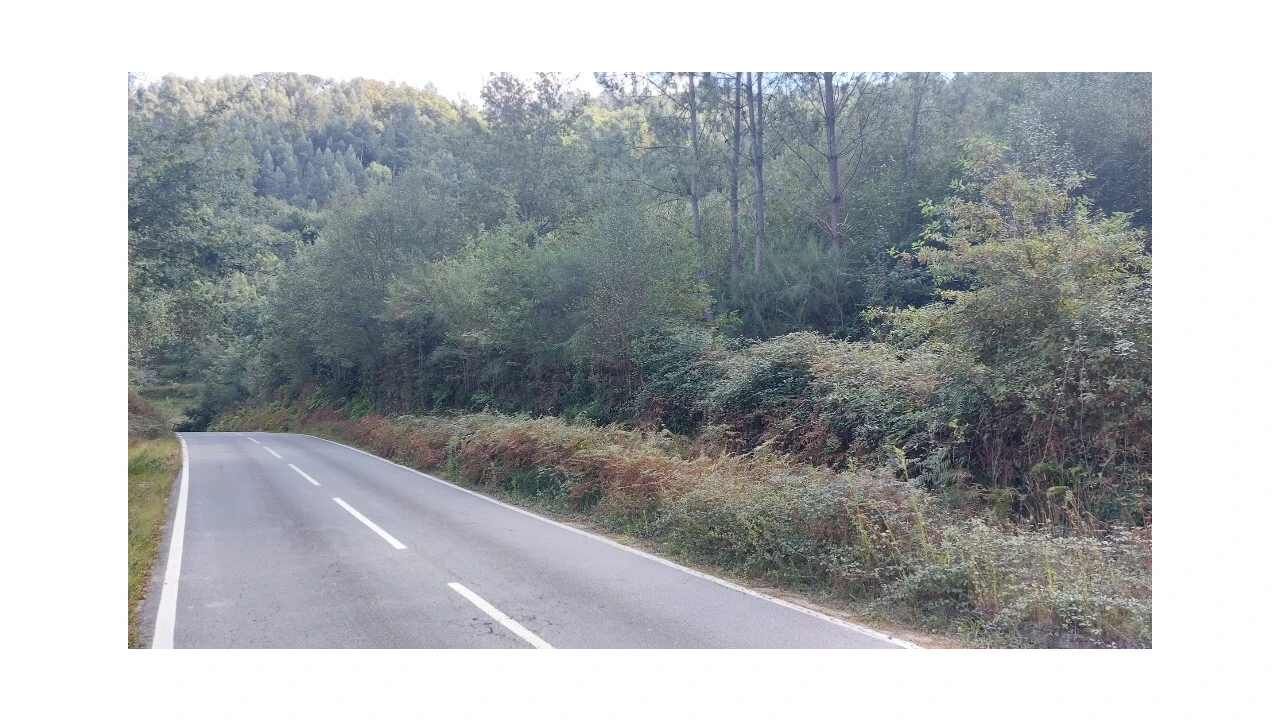 Terreno para Venda em Chamoim e Vilar Foto 4
