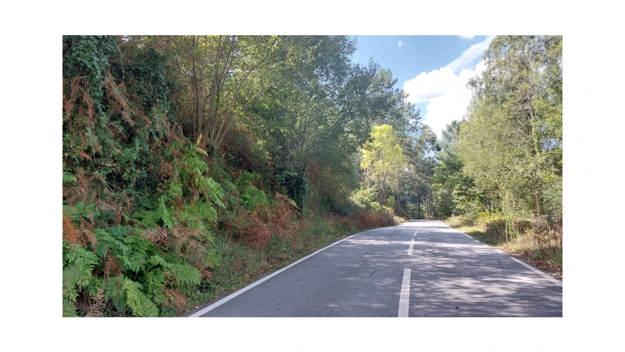 Terreno para Venda em Chamoim e Vilar Foto 1