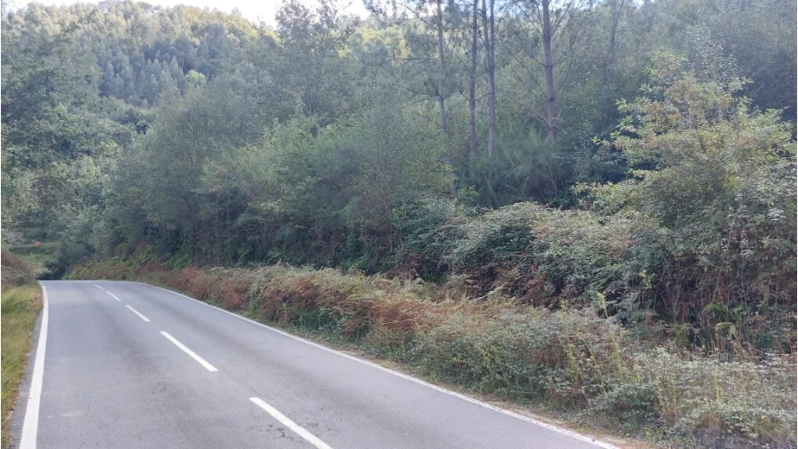 Terreno para Venda em Chamoim e Vilar Foto 4