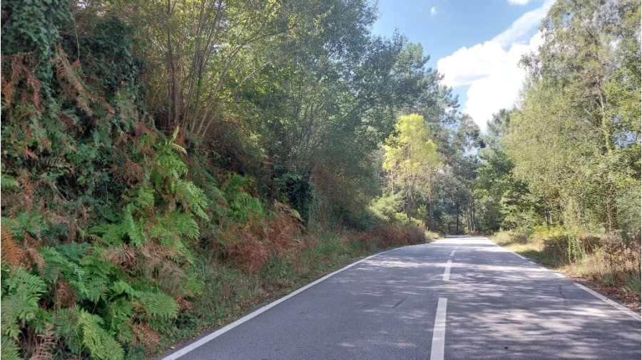 Terreno para Venda em Chamoim e Vilar Foto 1