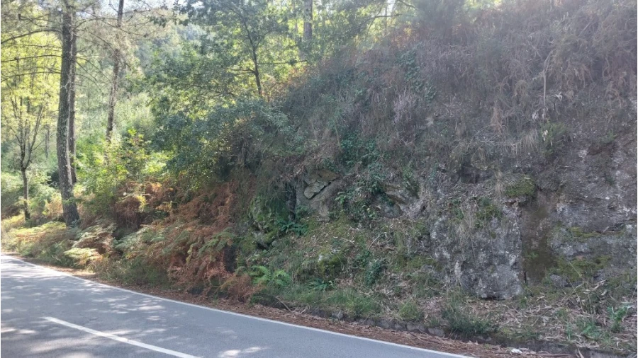 Terreno para Venda em Chamoim e Vilar Foto 5