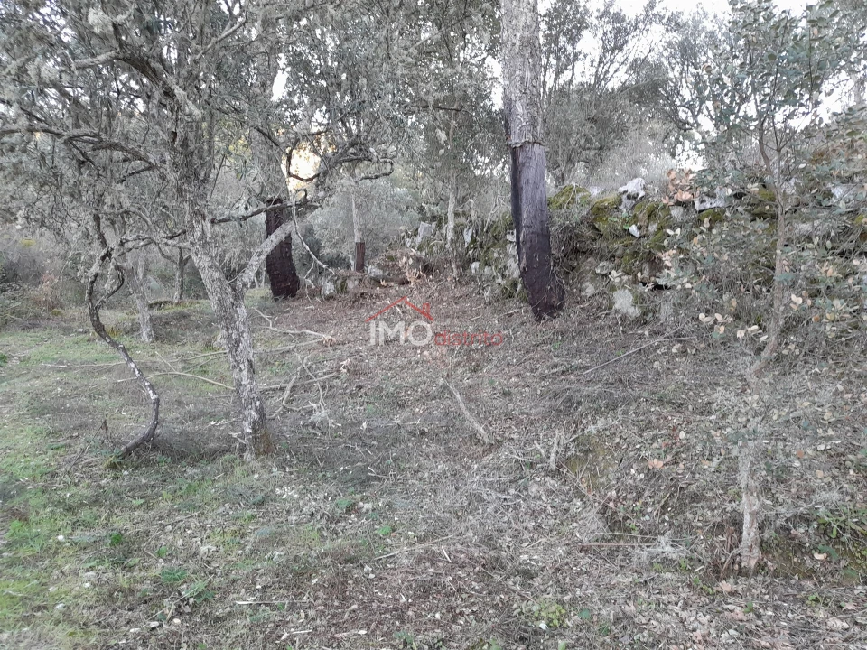 Terreno Agricola ou Rústico para Venda em Santa Maria de Marvão Foto 9