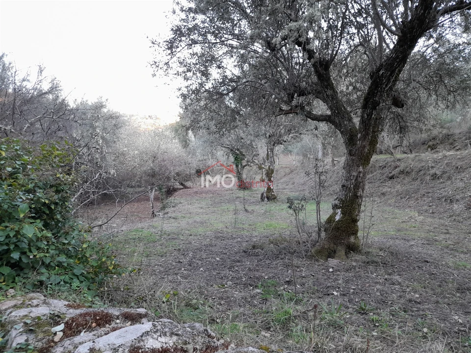 Terreno Agricola ou Rústico para Venda em Santa Maria de Marvão Foto 7